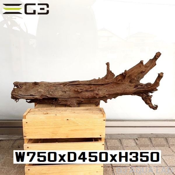 No,501�����ꥸ�ʥ�ۡ��󥦥å���ή�ڡ�XXL������