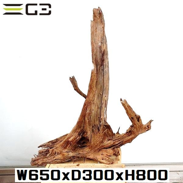 No,503�����ꥸ�ʥ�ۡ��󥦥å���ή�ڡ�XXL������