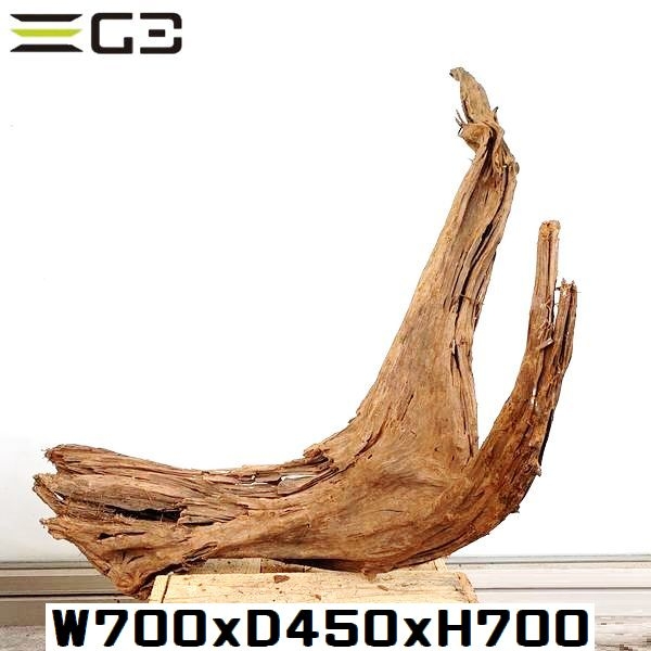 No,504�����ꥸ�ʥ�ۡ��󥦥å���ή�ڡ�XXL������