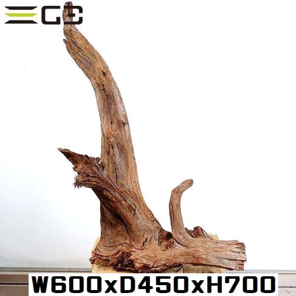 No,505�����ꥸ�ʥ�ۡ��󥦥å���ή�ڡ�XXL������