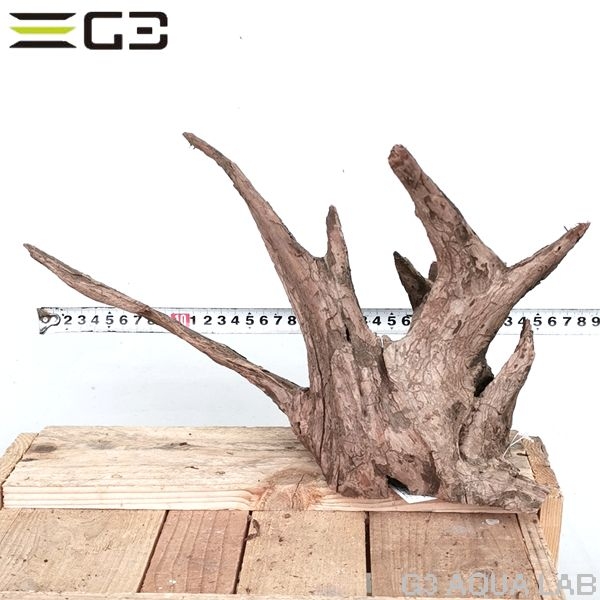 No,163�����ͥ��ߥե����֥�å��ۡ���ή�ڡ�M������