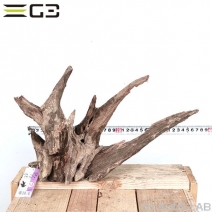 No,163�����ͥ��ߥե����֥�å��ۡ���ή�ڡ�M������