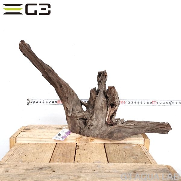 No,164�����ͥ��ߥե����֥�å��ۡ���ή�ڡ�M������