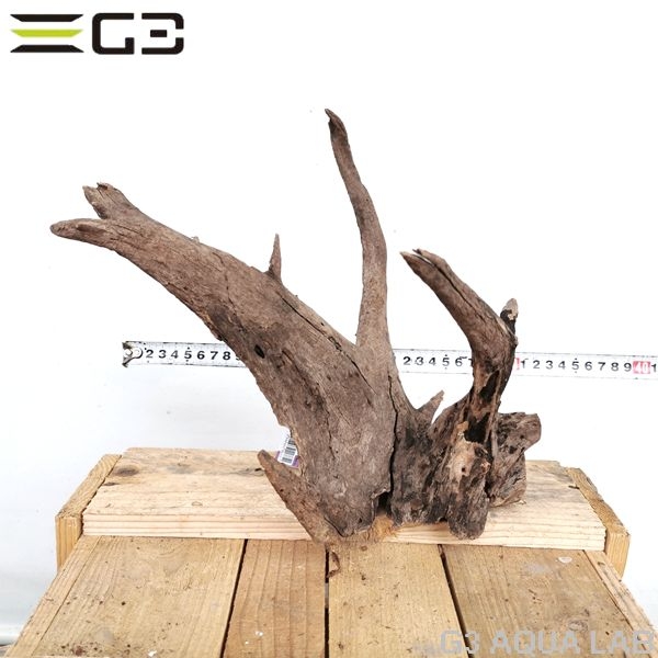 No,165�����ͥ��ߥե����֥�å��ۡ���ή�ڡ�M������