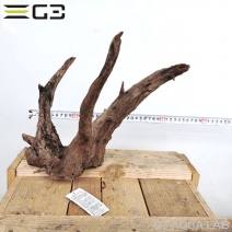 No,165�����ͥ��ߥե����֥�å��ۡ���ή�ڡ�M������