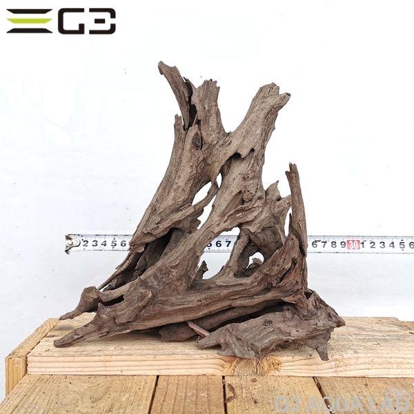 No,166�����ͥ��ߥե����֥�å��ۡ���ή�ڡ�M������