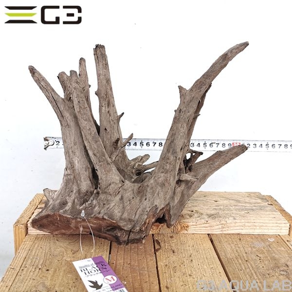 No,167�����ͥ��ߥե����֥�å��ۡ���ή�ڡ�M������