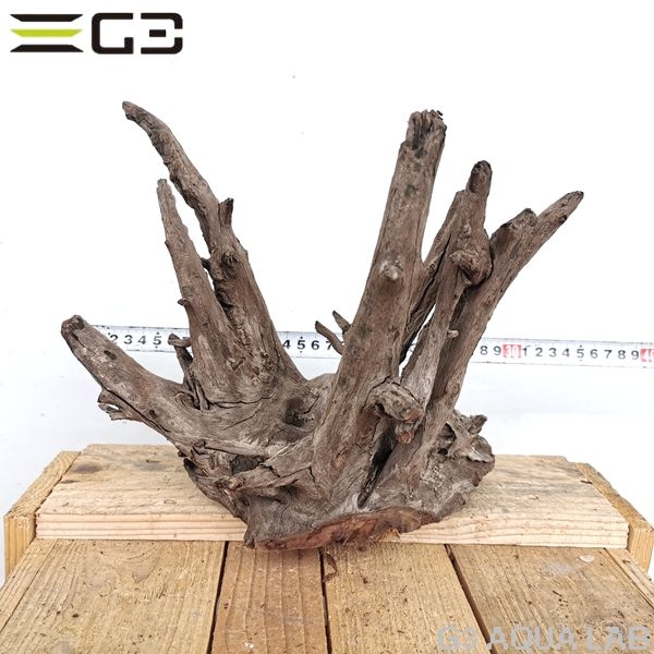 No,167�����ͥ��ߥե����֥�å��ۡ���ή�ڡ�M������