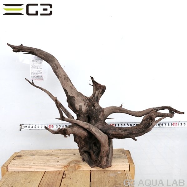 No,191 ソネケミファ ブラックホーン流木 Lサイズ