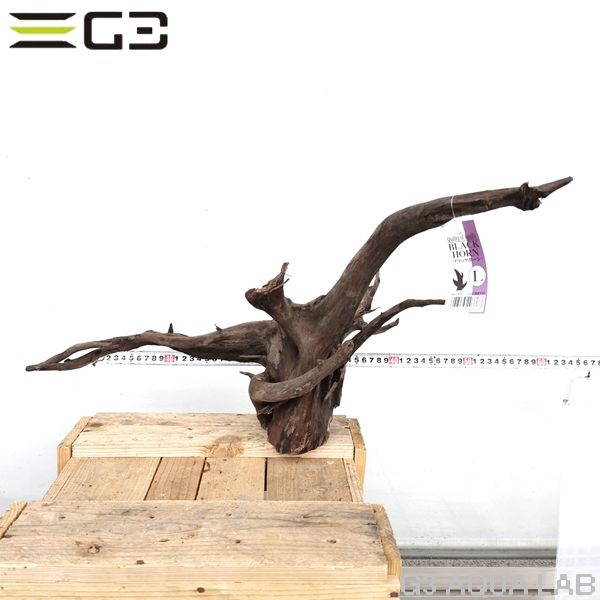 No,191 ソネケミファ ブラックホーン流木 Lサイズ