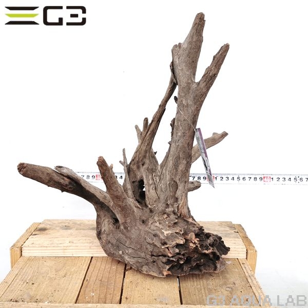 No,192�����ͥ��ߥե����֥�å��ۡ���ή�ڡ�L������