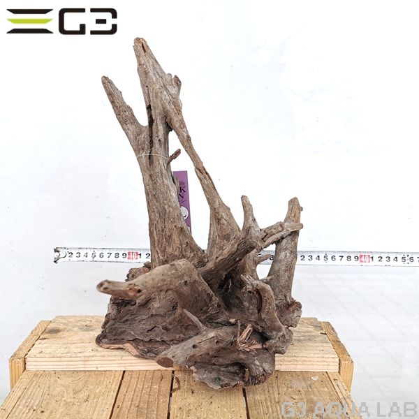 No,192�����ͥ��ߥե����֥�å��ۡ���ή�ڡ�L������