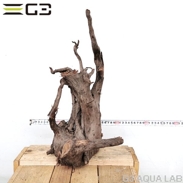 No,193�����ͥ��ߥե����֥�å��ۡ���ή�ڡ�L������