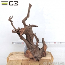 No,193�����ͥ��ߥե����֥�å��ۡ���ή�ڡ�L������