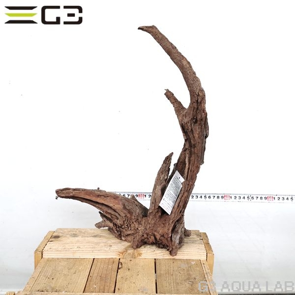 No,194�����ͥ��ߥե����֥�å��ۡ���ή�ڡ�L������