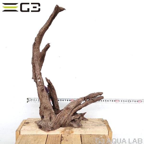 No,194�����ͥ��ߥե����֥�å��ۡ���ή�ڡ�L������