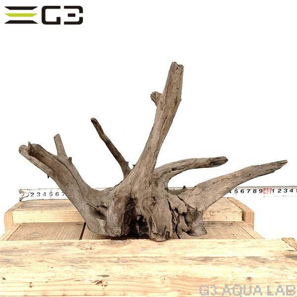 No,168�����ͥ��ߥե����֥�å��ۡ���ή�ڡ�M������