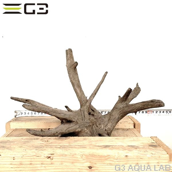 No,168�����ͥ��ߥե����֥�å��ۡ���ή�ڡ�M������