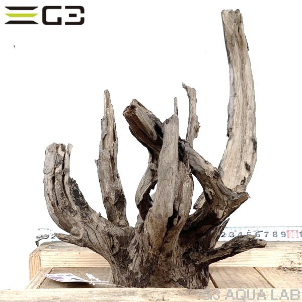 No,169�����ͥ��ߥե����֥�å��ۡ���ή�ڡ�M������