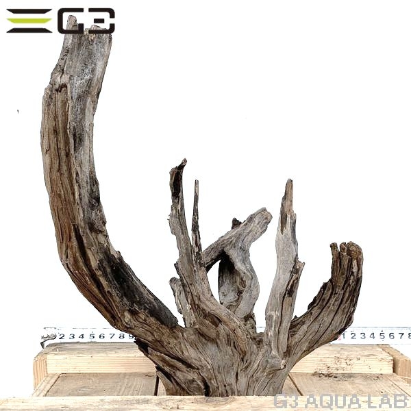 No,169�����ͥ��ߥե����֥�å��ۡ���ή�ڡ�M������