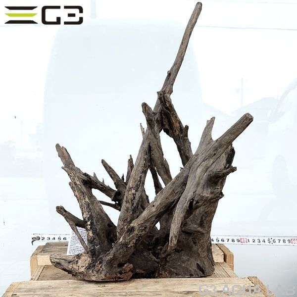 No,195�����ͥ��ߥե����֥�å��ۡ���ή�ڡ�L������