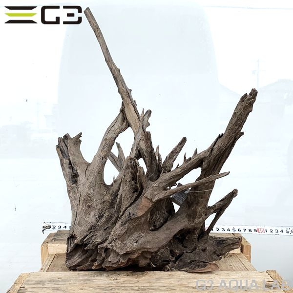 No,195�����ͥ��ߥե����֥�å��ۡ���ή�ڡ�L������