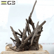 No,195�����ͥ��ߥե����֥�å��ۡ���ή�ڡ�L������