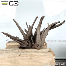 No,196�����ͥ��ߥե����֥�å��ۡ���ή�ڡ�L������