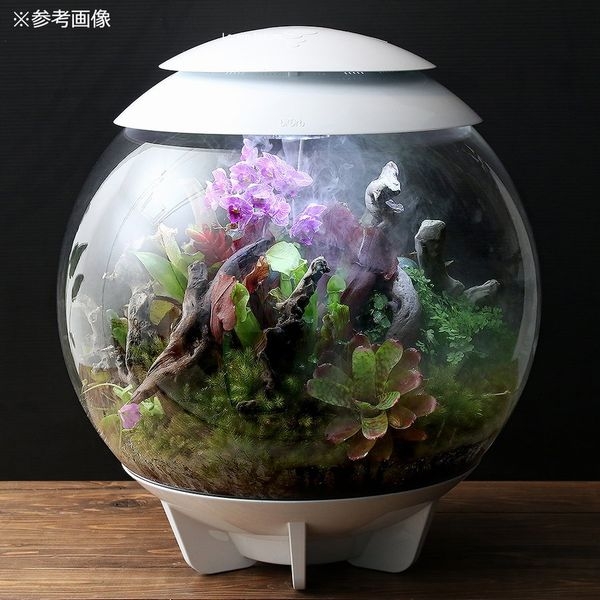 �ڼ��󤻡�biOrb AIR 60 �ۥ磻�� [0822728005897]
