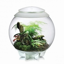 �ڼ��󤻡�biOrb AIR 60 �ۥ磻�� [0822728005897]