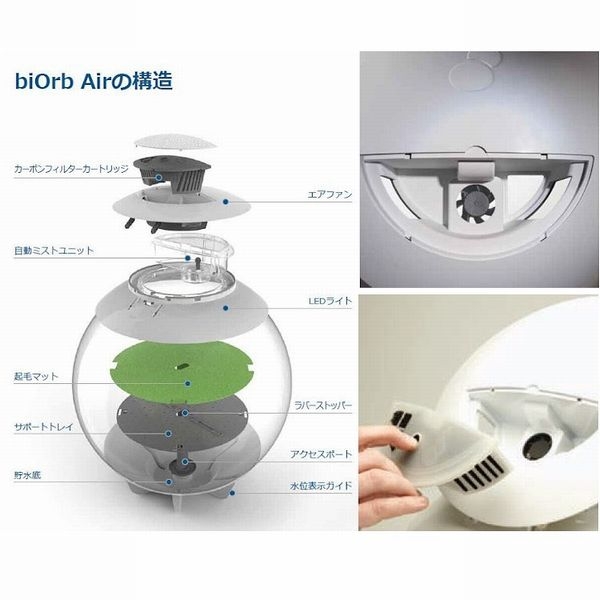 �ڼ��󤻡�biOrb AIR 60 �֥�å� [0822728725573]