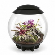 �ڼ��󤻡�biOrb AIR 60 �֥�å� [0822728725573]