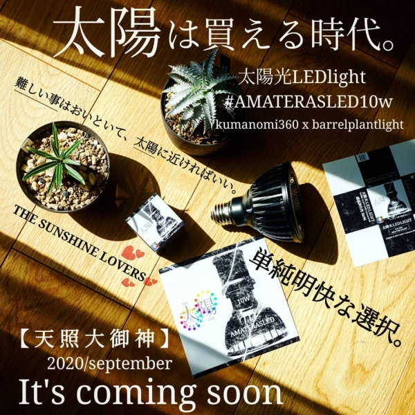 AMATERAS �����������LED���� 10W��[4562496461698]