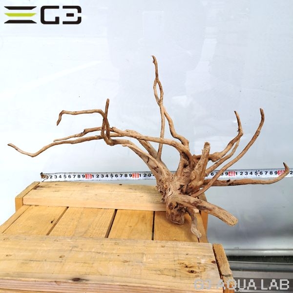 No,55 ADAブランチウッド風流木 サイズ約25〜55cm