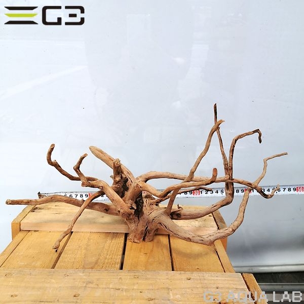 No,55 ADAブランチウッド風流木 サイズ約25〜55cm