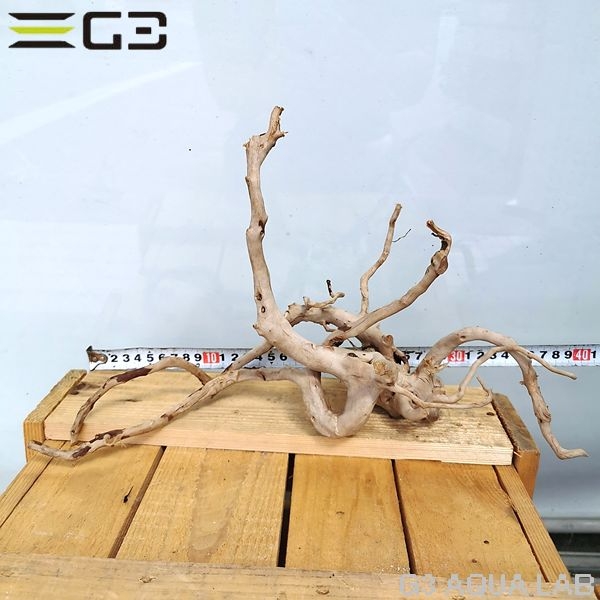 No,57 ADAブランチウッド風流木 サイズ約25〜55cm