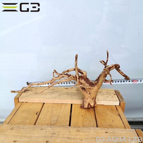 No,58 ADAブランチウッド風流木 サイズ約25〜55cm