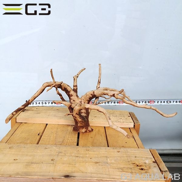 No,58 ADAブランチウッド風流木 サイズ約25〜55cm