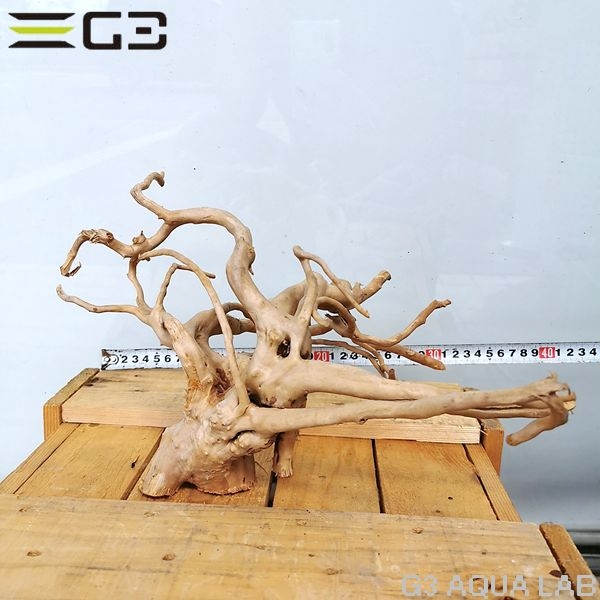 No,60 ADAブランチウッド風流木 サイズ約25〜55cm