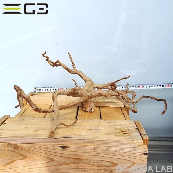 No,61 ADAブランチウッド風流木 サイズ約25〜55cm