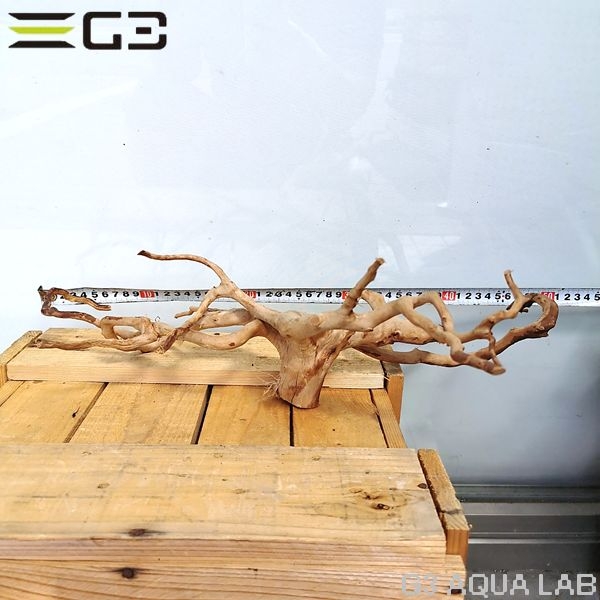 No,61 ADAブランチウッド風流木 サイズ約25〜55cm