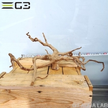 No,61��ADA�֥������å���ή�ڡ���������25��55cm