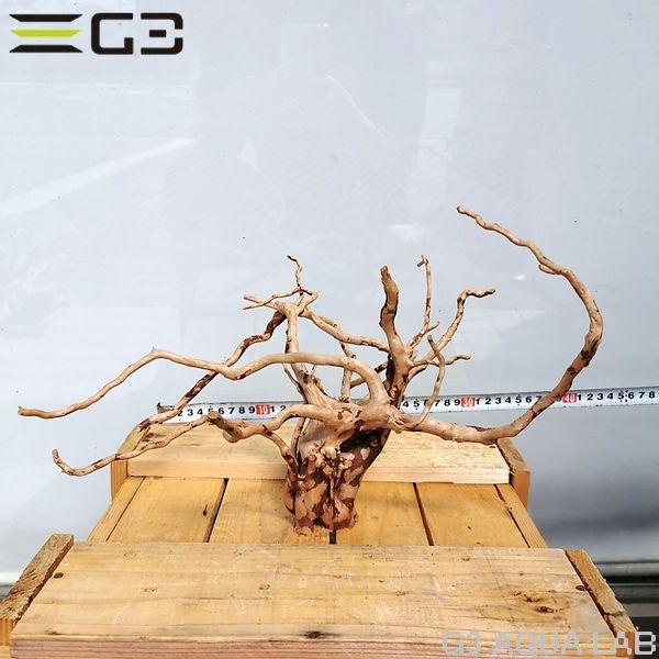 No,65 ADAブランチウッド風流木 サイズ約25〜55cm