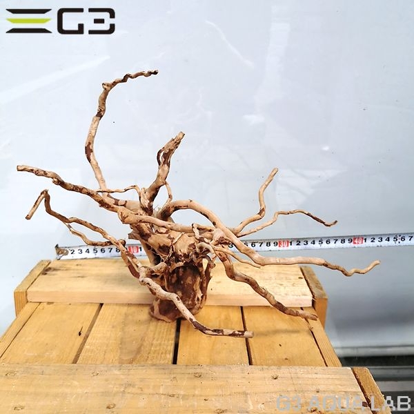 No,65 ADAブランチウッド風流木 サイズ約25〜55cm