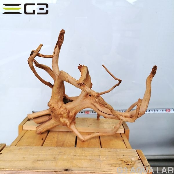 No,66 ADAブランチウッド風流木 サイズ約25〜55cm