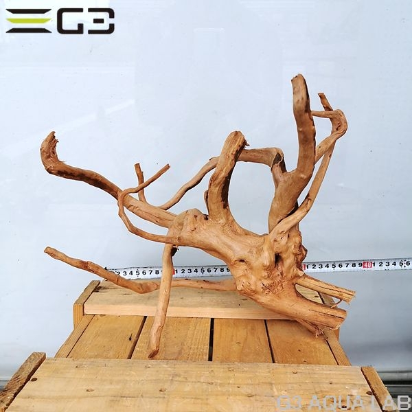 No,66 ADAブランチウッド風流木 サイズ約25〜55cm