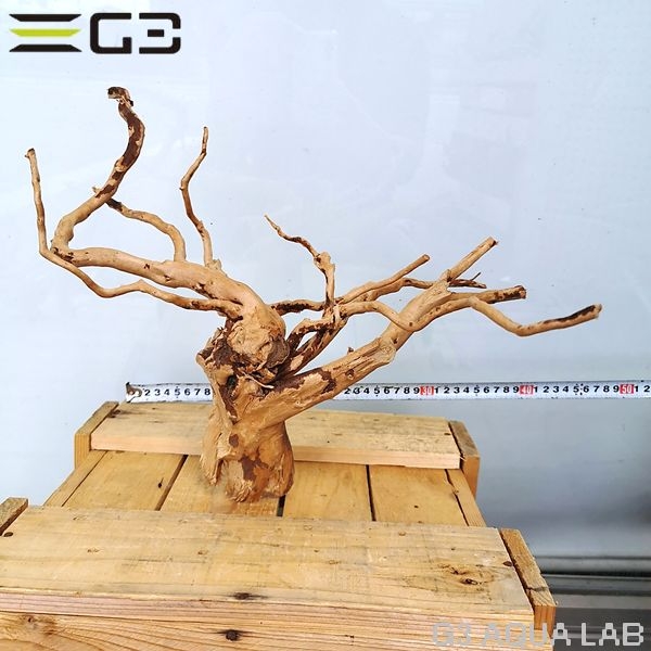 No,67 ADAブランチウッド風流木 サイズ約25〜55cm