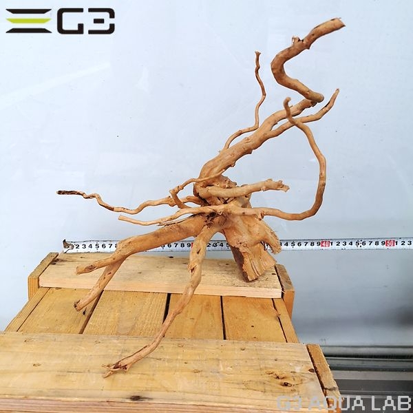 No,67 ADAブランチウッド風流木 サイズ約25〜55cm