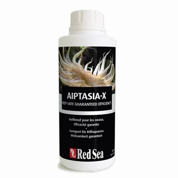 ��åɥ����������ץ�����X��500ml��[7290100771976]