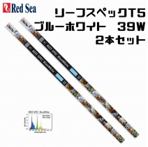 �ڼ��󤻡�2�ܥ��å� �꡼�ե��ڥå�T5 �֥롼�ۥ磻�� 39�� 2�ܥ��å�